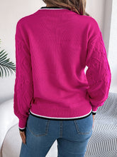 Load image into Gallery viewer, Contrast Trim Round Neck Long Sleeve Sweater