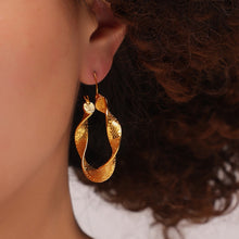 Load image into Gallery viewer, Titanium Steel Twisted Earrings