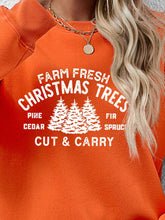 Load image into Gallery viewer, Round Neck Graphic Long Sleeve Sweatshirt