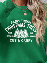 Load image into Gallery viewer, Round Neck Graphic Long Sleeve Sweatshirt