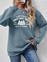 Load image into Gallery viewer, Round Neck Graphic Long Sleeve Sweatshirt