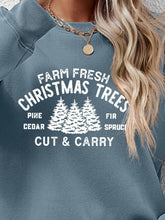 Load image into Gallery viewer, Round Neck Graphic Long Sleeve Sweatshirt
