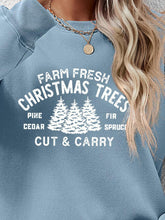 Load image into Gallery viewer, Round Neck Graphic Long Sleeve Sweatshirt