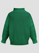 Load image into Gallery viewer, Turtleneck Long Sleeve Sweater