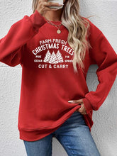 Load image into Gallery viewer, Round Neck Graphic Long Sleeve Sweatshirt