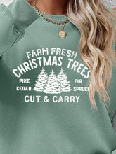 Load image into Gallery viewer, Round Neck Graphic Long Sleeve Sweatshirt
