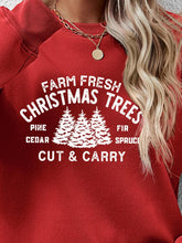 Load image into Gallery viewer, Round Neck Graphic Long Sleeve Sweatshirt