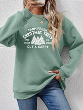 Load image into Gallery viewer, Round Neck Graphic Long Sleeve Sweatshirt