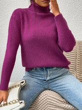 Load image into Gallery viewer, Ribbed Turtle Neck Long Sleeve Sweater