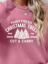 Load image into Gallery viewer, Round Neck Graphic Long Sleeve Sweatshirt