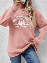 Load image into Gallery viewer, Round Neck Graphic Long Sleeve Sweatshirt