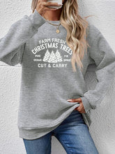 Load image into Gallery viewer, Round Neck Graphic Long Sleeve Sweatshirt