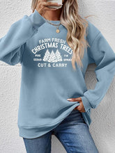 Load image into Gallery viewer, Round Neck Graphic Long Sleeve Sweatshirt