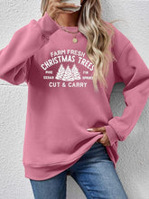 Load image into Gallery viewer, Round Neck Graphic Long Sleeve Sweatshirt