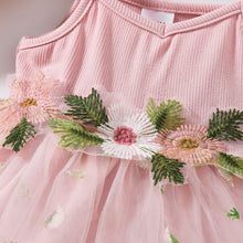 Load image into Gallery viewer, Embroidered Spaghetti Strap V-Neck Dress