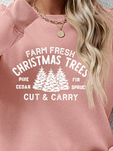 Load image into Gallery viewer, Round Neck Graphic Long Sleeve Sweatshirt
